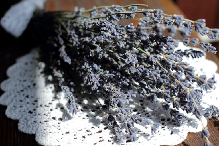 herbs