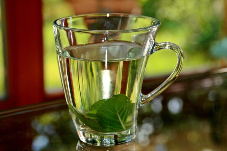 menta