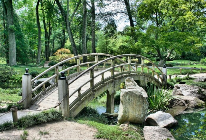 lucrari in gradina noiembrie