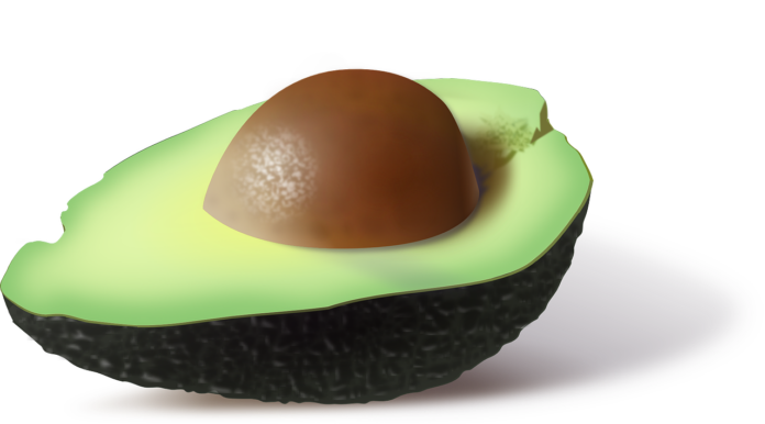 avocado plantare in gradina