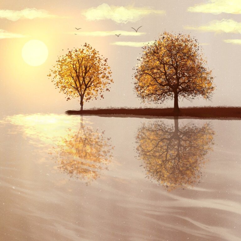 dafinul in gradina iarna