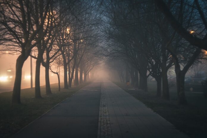 alei cu piatra de rau in gradina