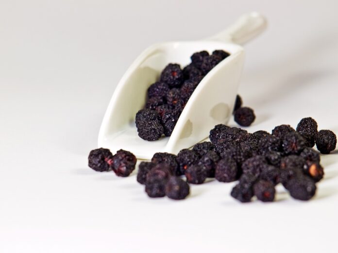 aronia plantare si intretinere