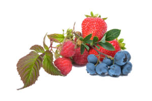 distanta plantare capsuni