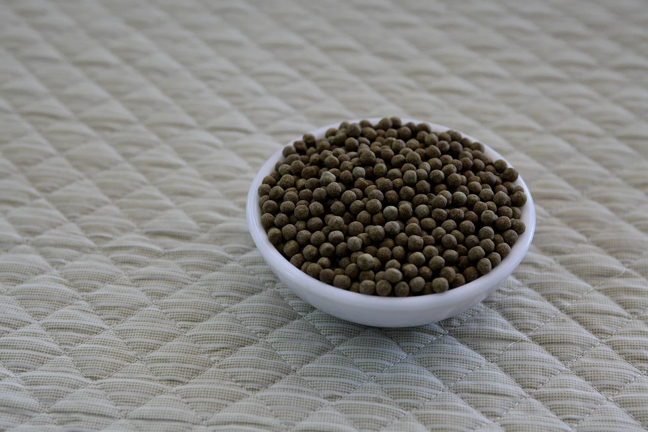 ce se intampla daca iau vitamine expirate