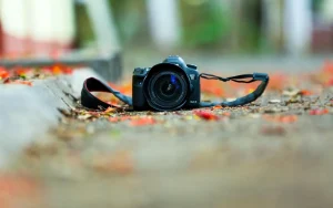 in cat timp se sudeaza un os fracturat