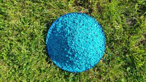 in cat timp isi face efectul otrava de soareci la caini