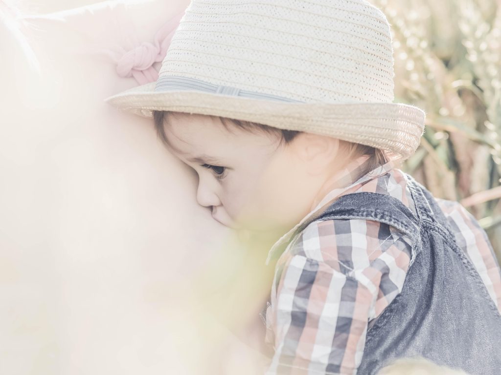 in cat timp se umple sanul de lapte