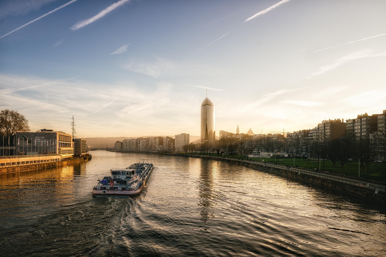 in cat timp se reface teaca de mielina