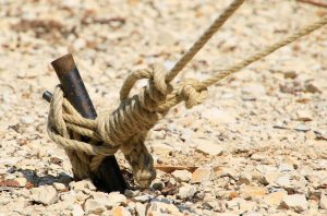 ce inseamna backup la telefon