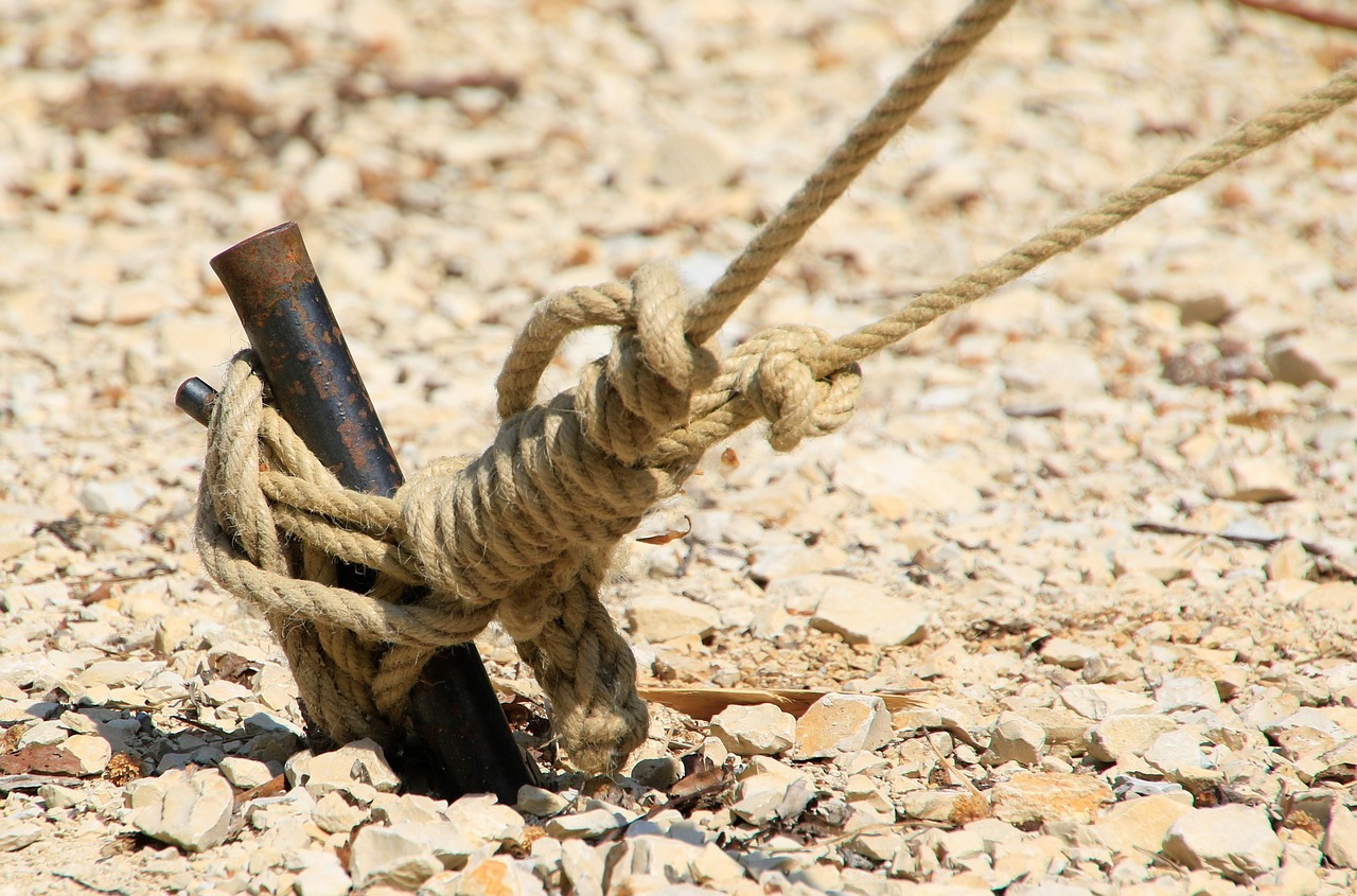 ce inseamna backup la telefon